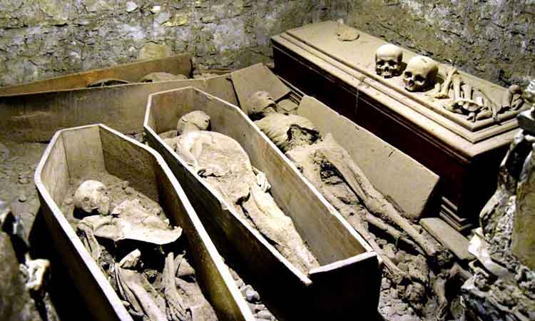 Our World Is A Book - Family Literary Tour of Dublin - Mummified Remains - St. Michan's Church Dublin